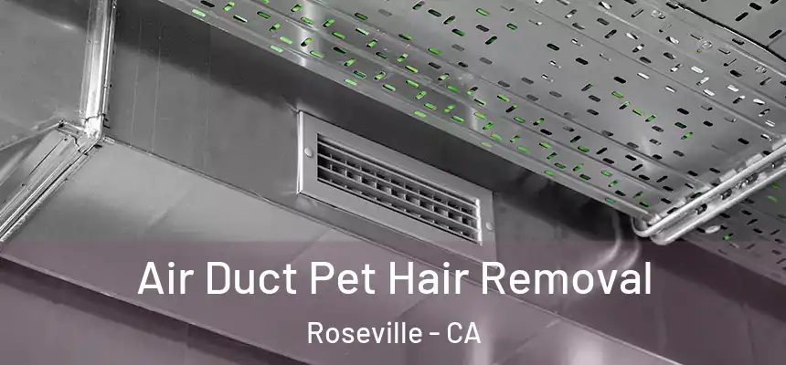 Air Duct Pet Hair Removal Roseville - CA