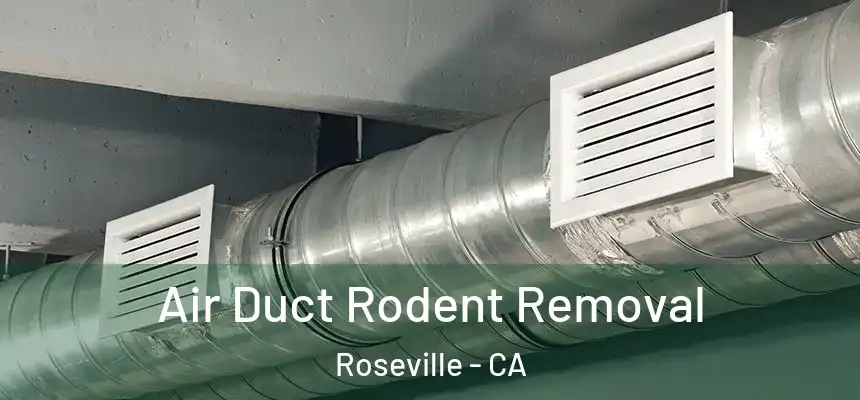  Air Duct Rodent Removal Roseville - CA