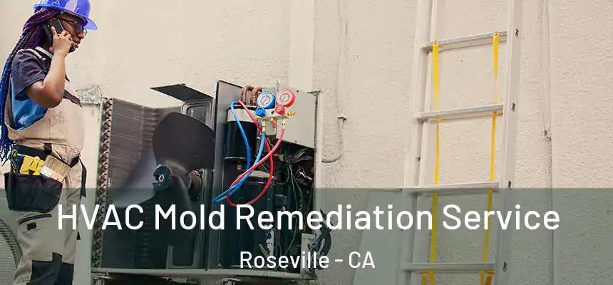  HVAC Mold Remediation Service Roseville - CA
