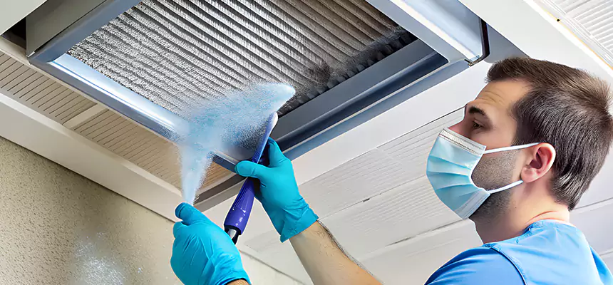 Proactive Dryer Vent & Auxiliary Duct Pollen Cleanup in Roseville, CA