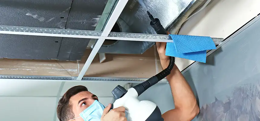Our Air Duct Rodent Removal Services in Roseville, CA