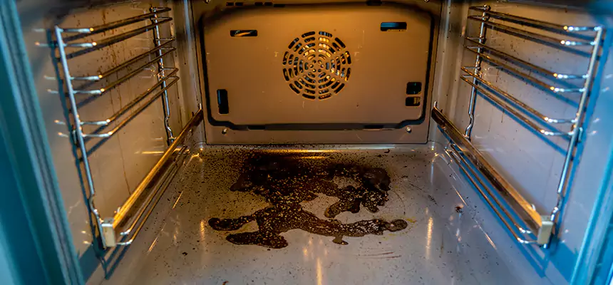 Our Dryer Vent Mold Cleaning Services in Roseville, CA