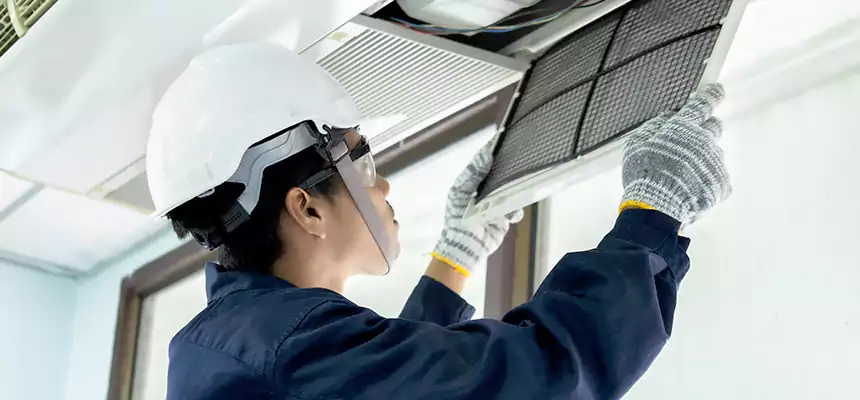 Our Mold & Mildew Removal from Air Ducts Services in Roseville, CA