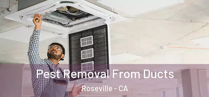  Pest Removal From Ducts Roseville - CA