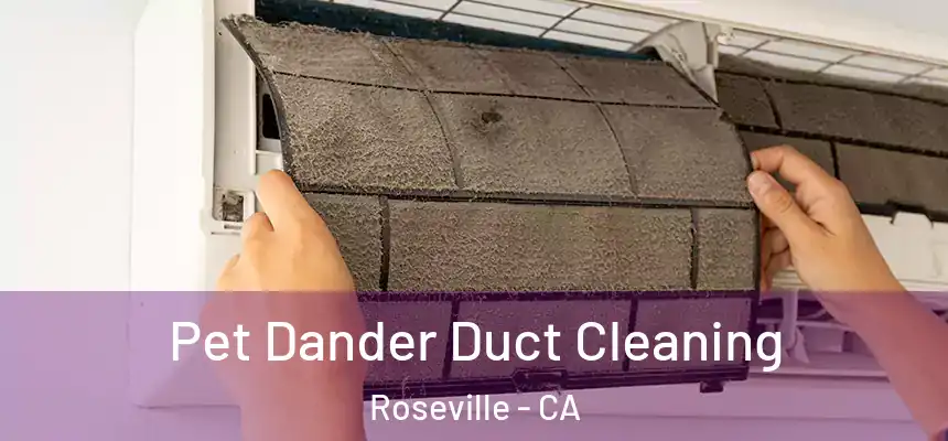  Pet Dander Duct Cleaning Roseville - CA
