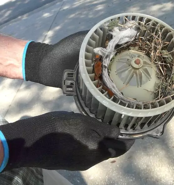 About Air Duct Mice Removal in Roseville, CA