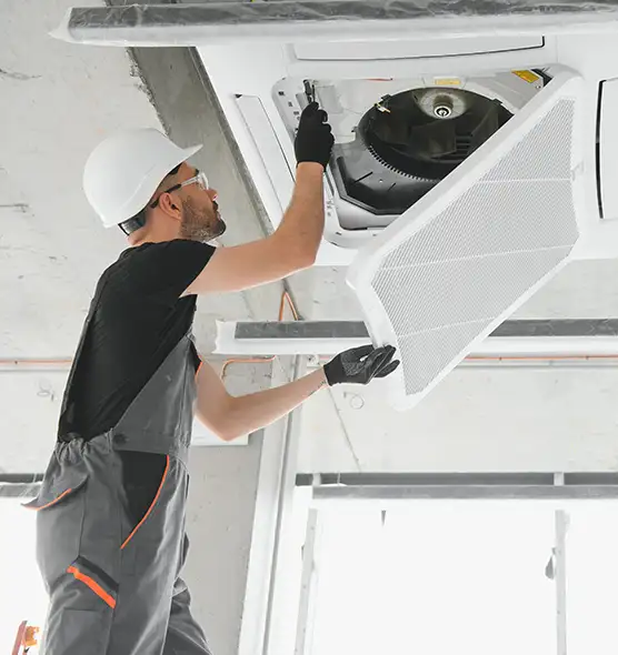 About Air Duct Rodent Removal in Roseville, CA