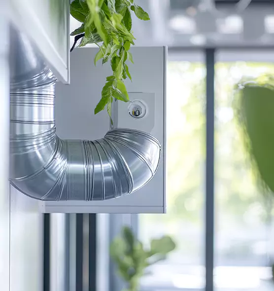 Professional Eco-Safe Dryer Vent Cleaning in Roseville, CA