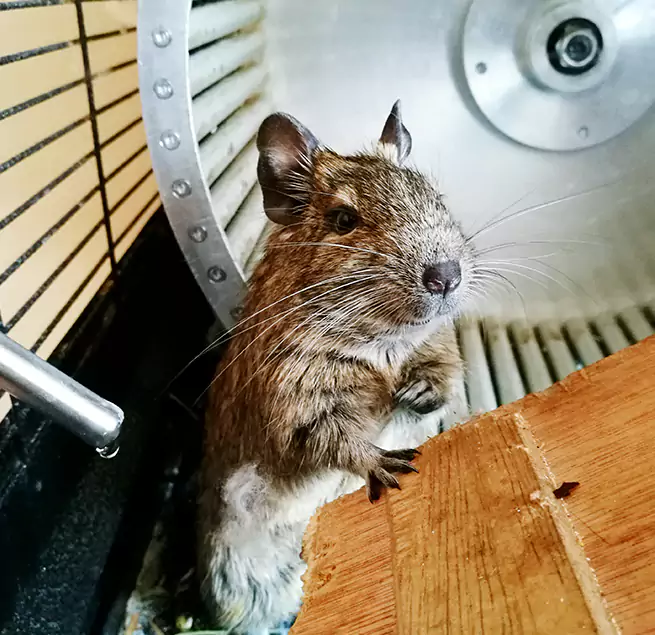 Why Homeowners & Businesses Trust Us Roseville, CA