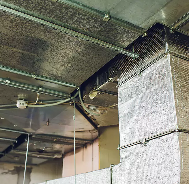 Why Homeowners & Businesses Trust Us in Roseville, CA?